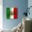 Italian Flag And Venice-Petrafler-Art Print displayed on a wall