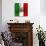 Italian Flag And Venice-Petrafler-Art Print displayed on a wall