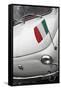 Italian Flag on Fiat 500 Car, Rome, Lazio, Italy, Europe-Stuart Black-Framed Stretched Canvas