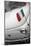 Italian Flag on Fiat 500 Car, Rome, Lazio, Italy, Europe-Stuart Black-Mounted Photographic Print