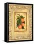 Italian Fruit Apricots-Marilyn Dunlap-Framed Stretched Canvas