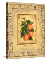 Italian Fruit Apricots-Marilyn Dunlap-Stretched Canvas