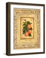 Italian Fruit Apricots-Marilyn Dunlap-Framed Art Print