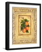 Italian Fruit Apricots-Marilyn Dunlap-Framed Art Print