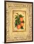 Italian Fruit Apricots-Marilyn Dunlap-Framed Art Print