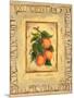 Italian Fruit Apricots-Marilyn Dunlap-Mounted Art Print