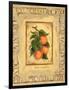 Italian Fruit Apricots-Marilyn Dunlap-Framed Art Print