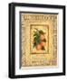 Italian Fruit Apricots-Marilyn Dunlap-Framed Art Print