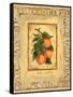Italian Fruit Apricots-Marilyn Dunlap-Framed Stretched Canvas