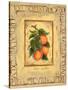 Italian Fruit Apricots-Marilyn Dunlap-Stretched Canvas