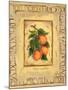 Italian Fruit Apricots-Marilyn Dunlap-Mounted Art Print