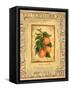 Italian Fruit Apricots-Marilyn Dunlap-Framed Stretched Canvas