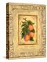 Italian Fruit Apricots-Marilyn Dunlap-Stretched Canvas