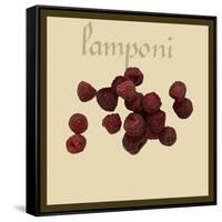 Italian Fruit III-Vision Studio-Framed Stretched Canvas