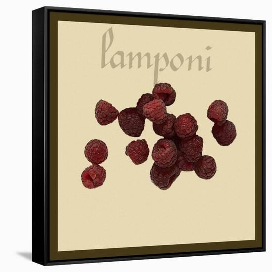 Italian Fruit III-Vision Studio-Framed Stretched Canvas