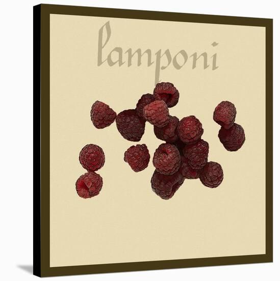 Italian Fruit III-Vision Studio-Stretched Canvas