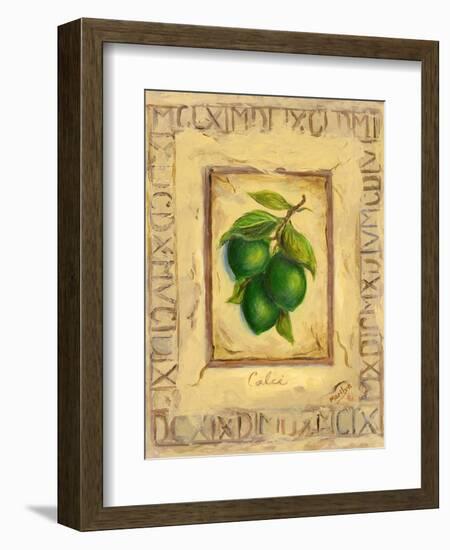 Italian Fruit Limes-Marilyn Dunlap-Framed Art Print