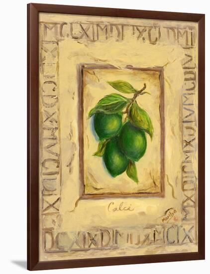 Italian Fruit Limes-Marilyn Dunlap-Framed Art Print