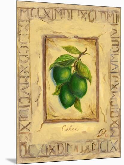 Italian Fruit Limes-Marilyn Dunlap-Mounted Art Print