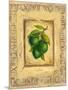 Italian Fruit Limes-Marilyn Dunlap-Mounted Art Print