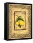 Italian Fruits Lemons-Marilyn Dunlap-Framed Stretched Canvas