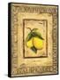 Italian Fruits Lemons-Marilyn Dunlap-Framed Stretched Canvas