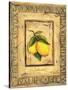 Italian Fruits Lemons-Marilyn Dunlap-Stretched Canvas