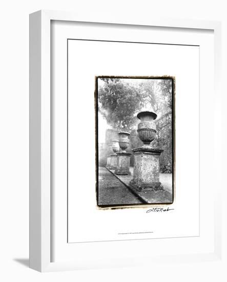 Italian Garden II-Laura Denardo-Framed Art Print