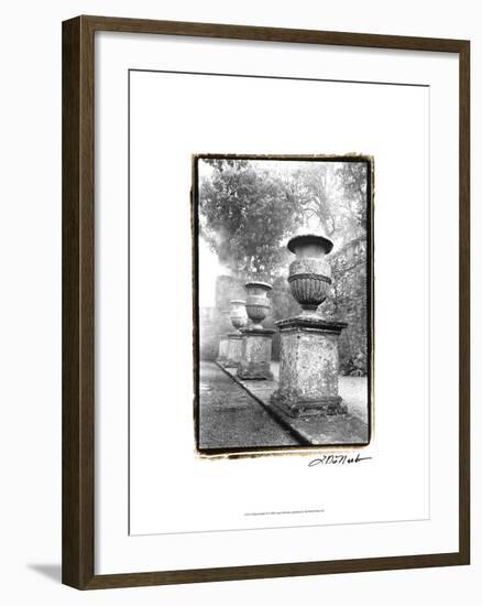 Italian Garden II-Laura Denardo-Framed Art Print