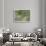 Italian Garden-Allan Myndzak-Giclee Print displayed on a wall