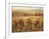 Italian Golden Vineyard-K^ Adams-Framed Art Print