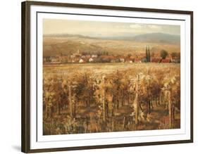 Italian Golden Vineyard-K^ Adams-Framed Art Print