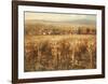 Italian Golden Vineyard-K^ Adams-Framed Art Print