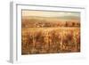 Italian Golden Vineyard-K. Adams-Framed Art Print