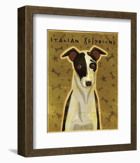 Italian Greyhound (Black & White)-John W^ Golden-Framed Art Print