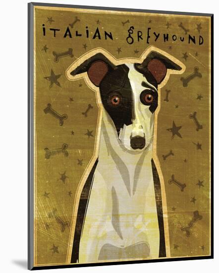 Italian Greyhound (Black & White)-John W^ Golden-Mounted Art Print