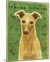 Italian Greyhound (Fawn)-John Golden-Mounted Giclee Print