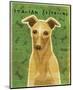 Italian Greyhound (Fawn)-John Golden-Mounted Giclee Print