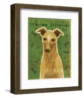 Italian Greyhound (Fawn)-John W^ Golden-Framed Art Print