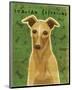 Italian Greyhound (Fawn)-John W^ Golden-Mounted Art Print