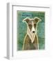 Italian Greyhound (White & Grey)-John Golden-Framed Giclee Print