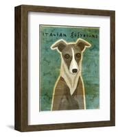 Italian Greyhound (White & Grey)-John W^ Golden-Framed Art Print