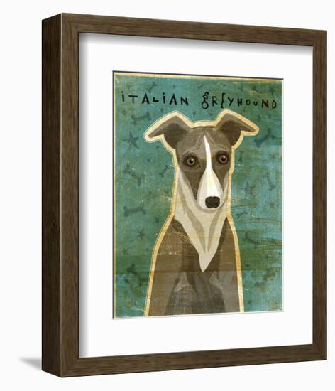 Italian Greyhound (White & Grey)-John W^ Golden-Framed Art Print