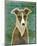 Italian Greyhound (White & Grey)-John W^ Golden-Mounted Art Print