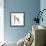 Italian Greyhound-null-Framed Photographic Print displayed on a wall