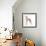 Italian Greyhound-null-Framed Photographic Print displayed on a wall