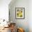 Italian Harvest, Lemons-Doris Allison-Framed Giclee Print displayed on a wall