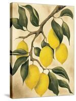 Italian Harvest, Lemons-Doris Allison-Stretched Canvas