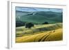 Italian Hills-Nancy Crowell-Framed Photographic Print