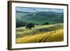 Italian Hills-Nancy Crowell-Framed Photographic Print